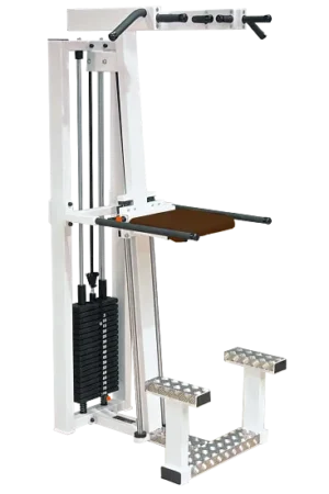 Klimmzug- & Dipstation "SQ"