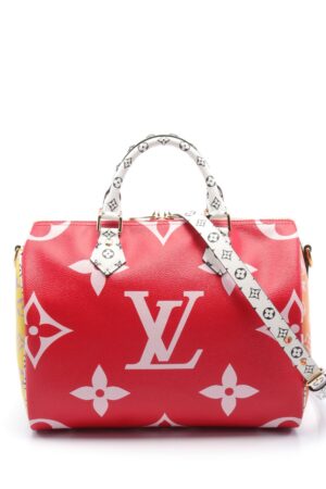 2018 Speedy NM 30 Bandoulière Handtasche