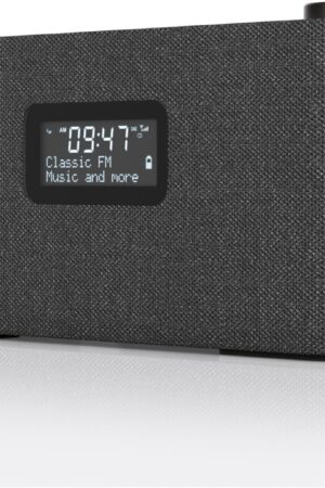 LOEWE radio.frequency Kofferradio basalt grey